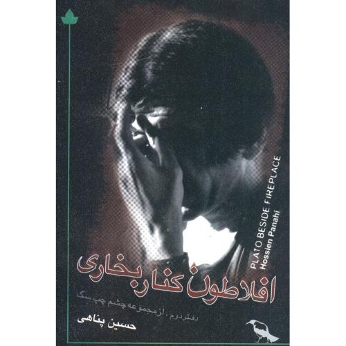 افلاطون‏ کنار بخاری‏