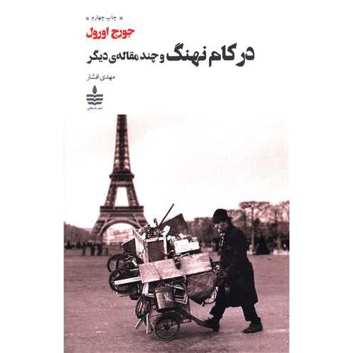 در کام نهنگ و چند مقاله دیگر