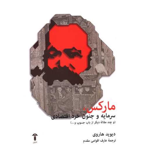 مارکس, سرمایه و جنون خرد اقتصادی