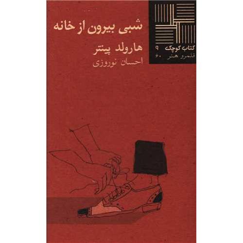 شبی بیرون از خانه