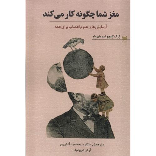 مغز شما چگونه کار می کند