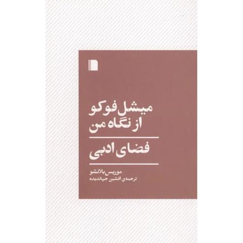 میشل فوکو از نگاه من