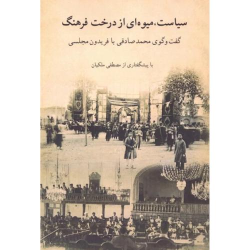 سیاست میوه ای از درخت فرهنگ